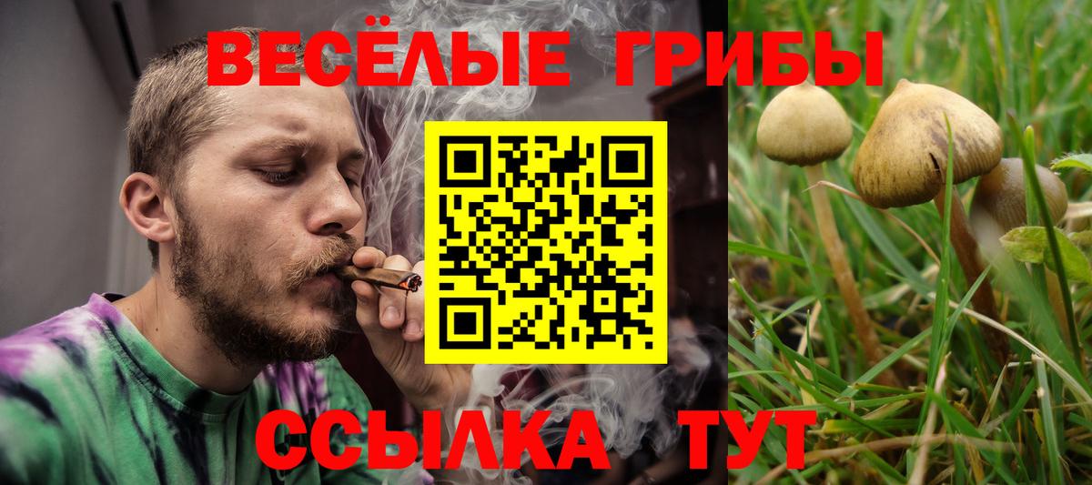 Губкин  Галлюциногенные грибы Psilocybine cubensis  хочу наркоту  Галлюциногенные грибы ЛСД  Вход с VPN 